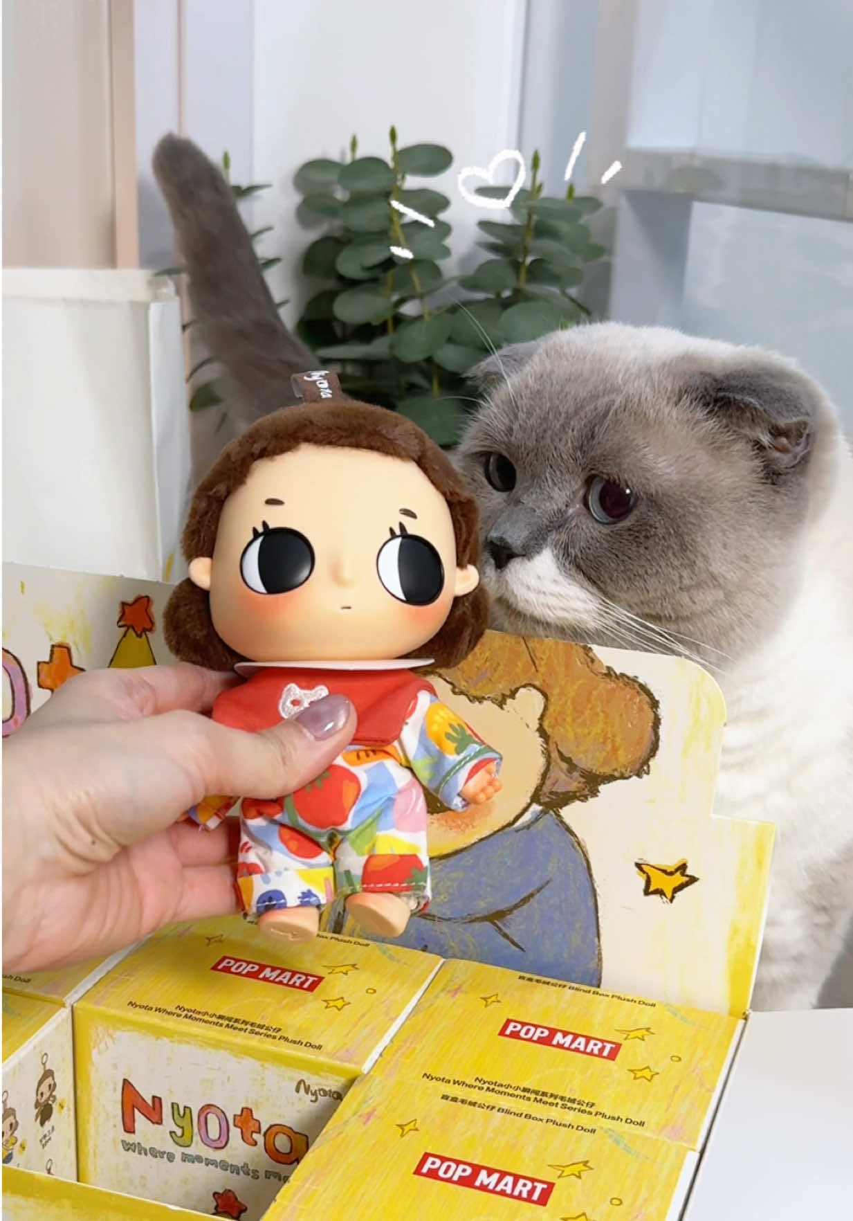 @ชิเอลแมวมึน 😺