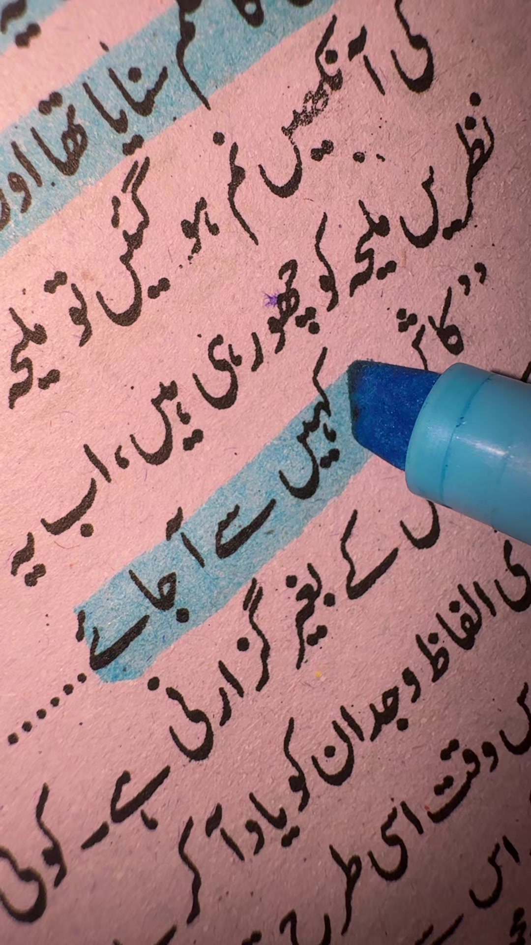 @حیانور✨