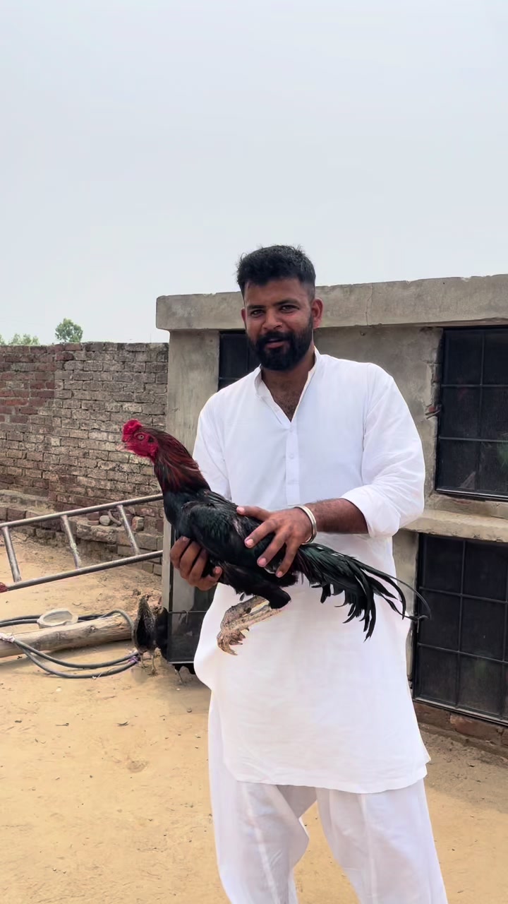 @Abdullah Mattu