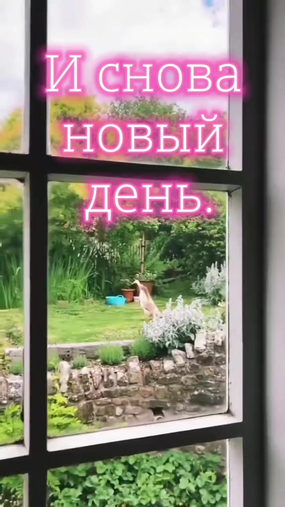 @ИРИНА