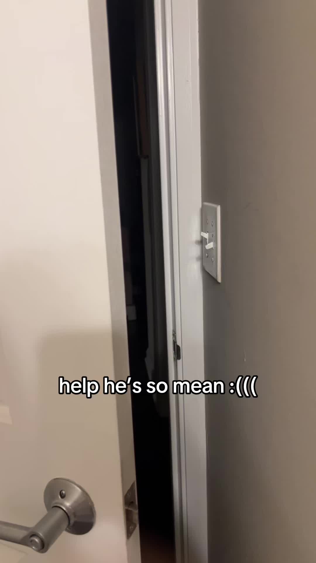 @l y s &macr;\_(ツ)_/&macr;