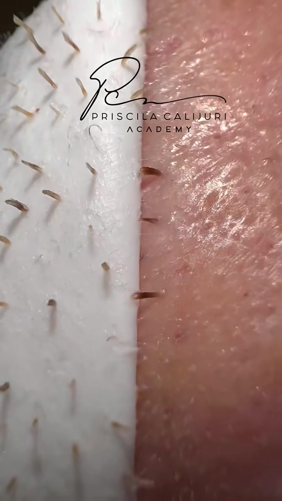 @Priscila Calijuri Academy