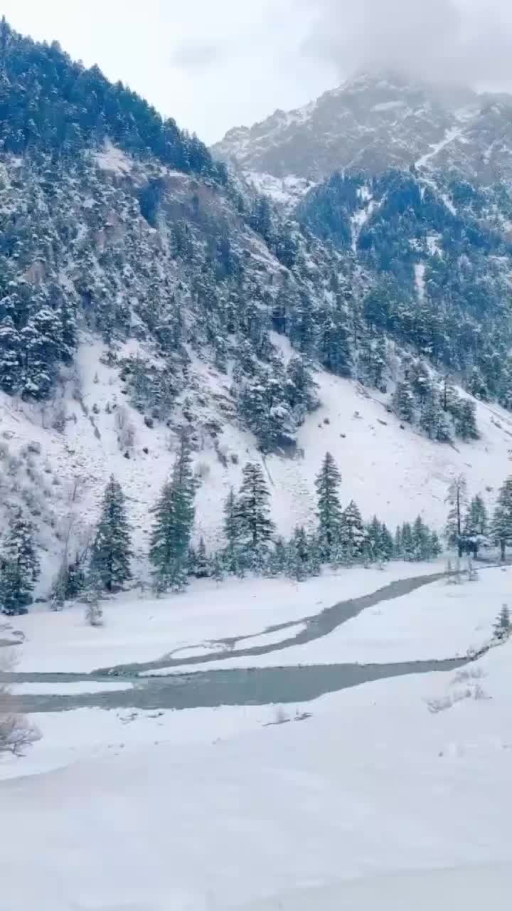 @RajPuT 🦅
