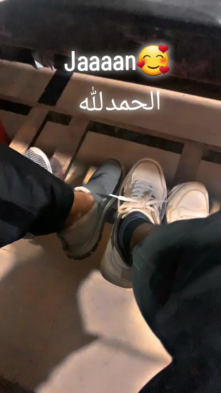 @🕊️🕷️
