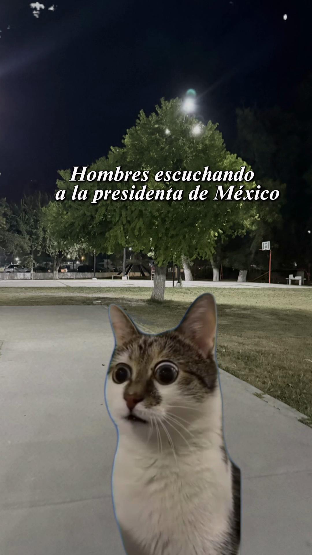 @Sol