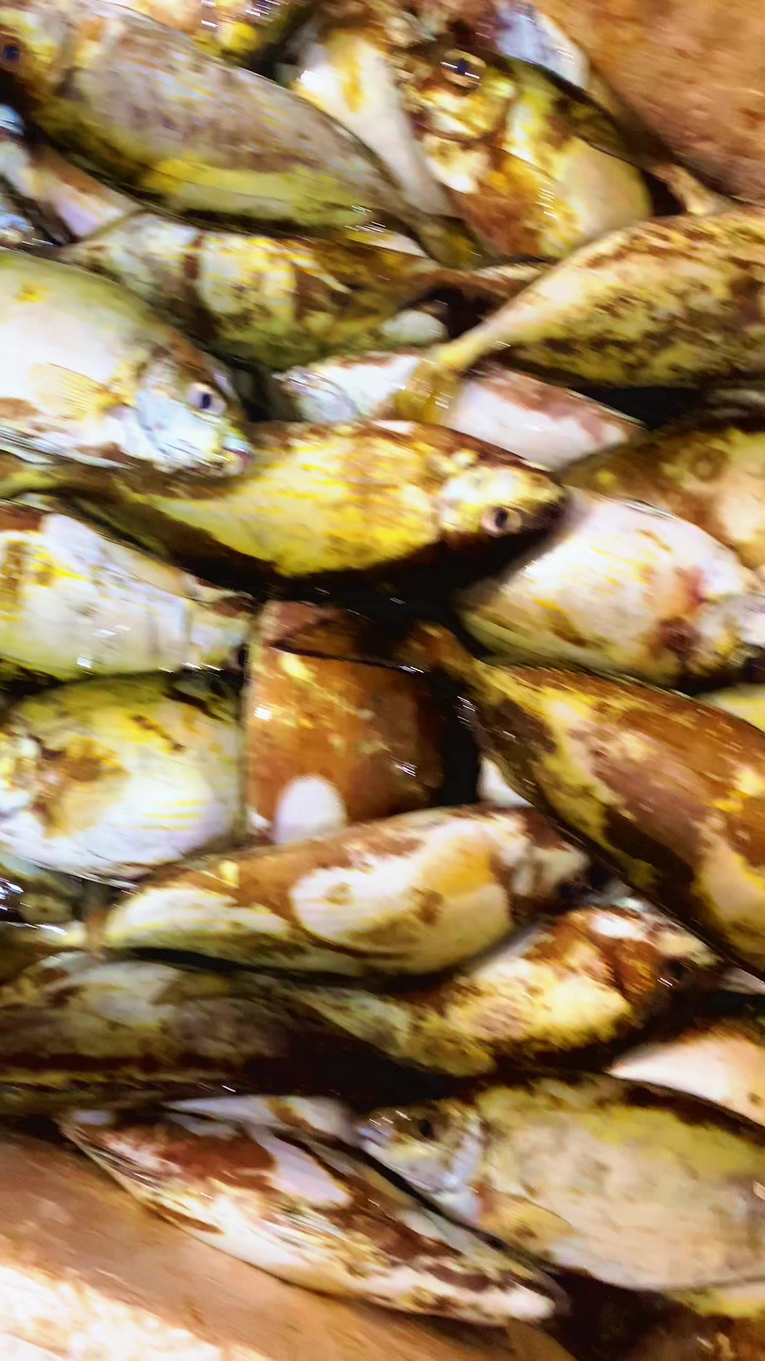 @مطعم ومسمكة الريس الصرفند