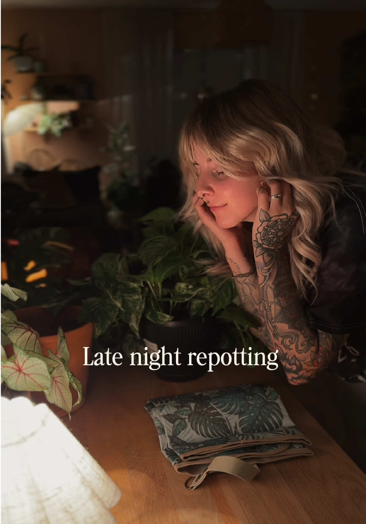 @Laura | Plants & Home decor
