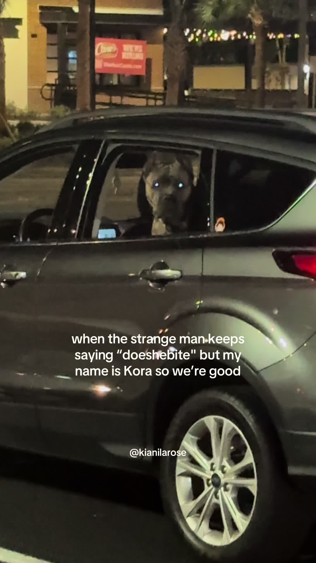 @Ki & Kora