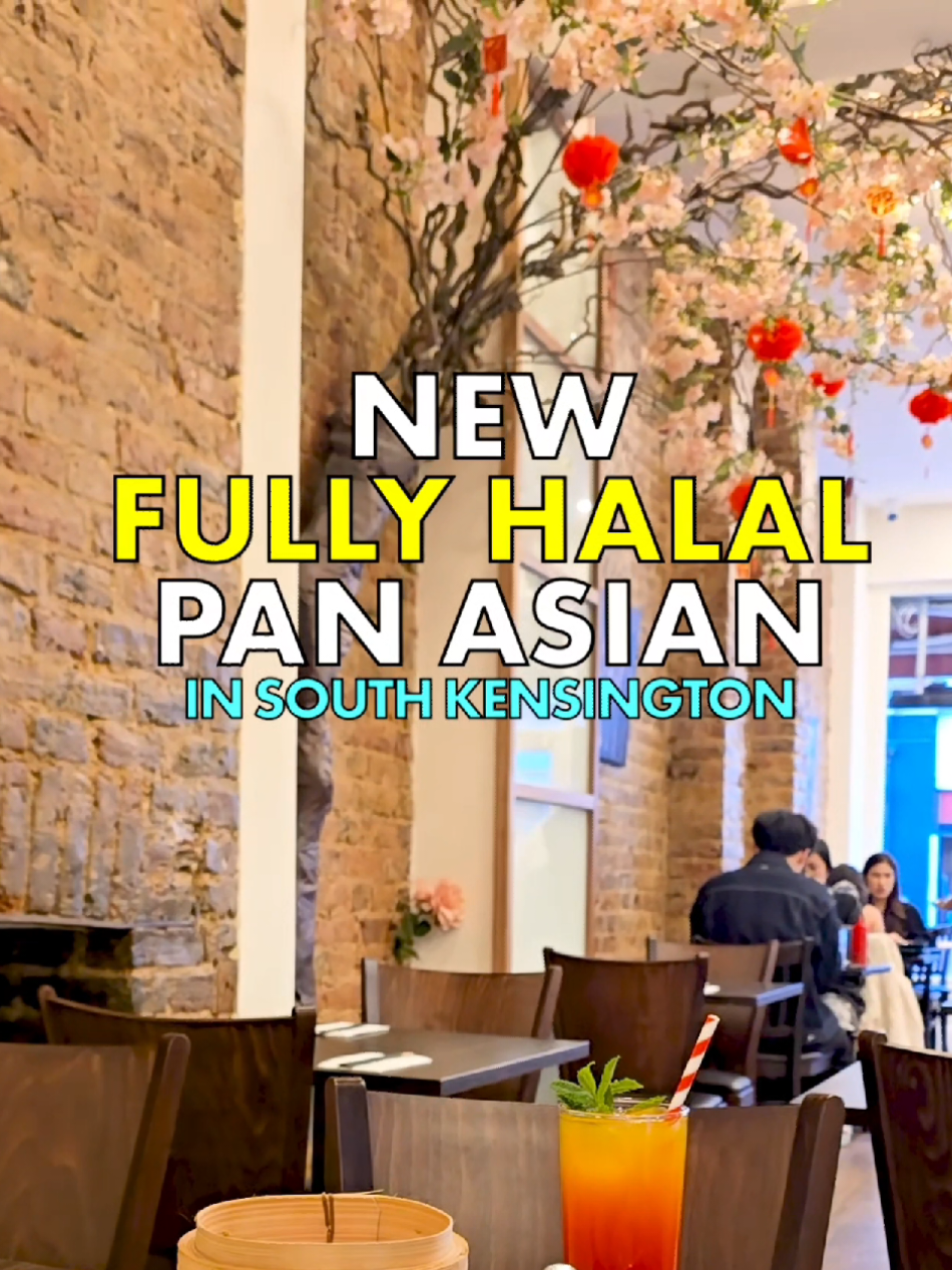 @Halal Food Guy
