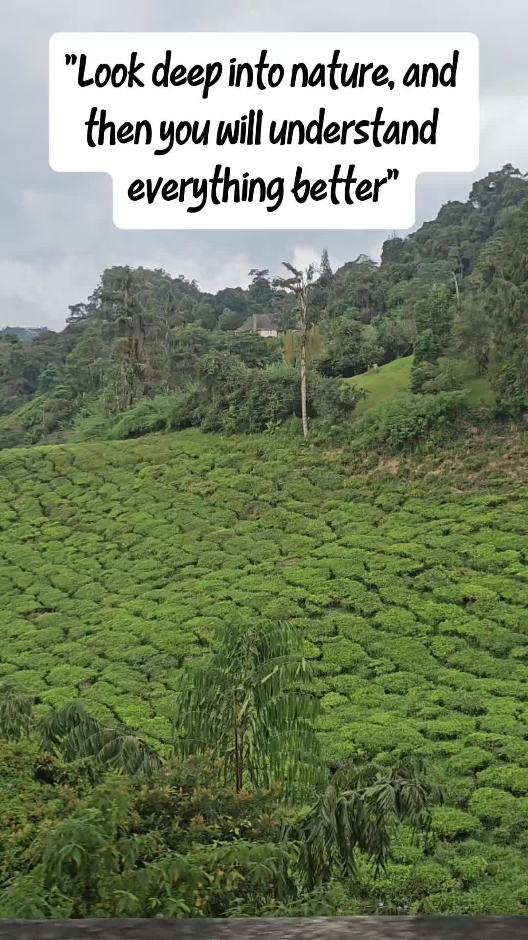 @SABURA MAJIS