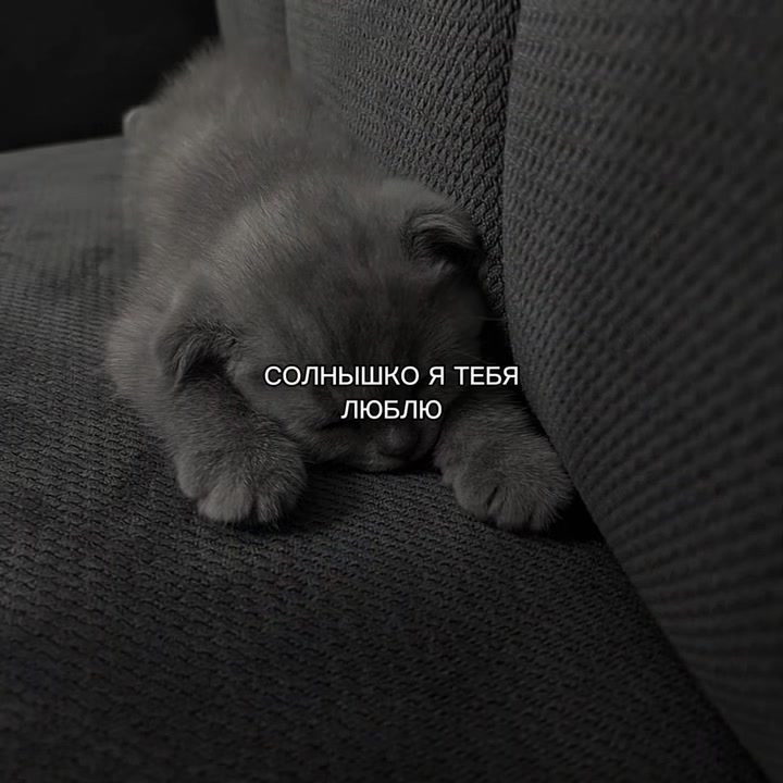 @ХХИКА