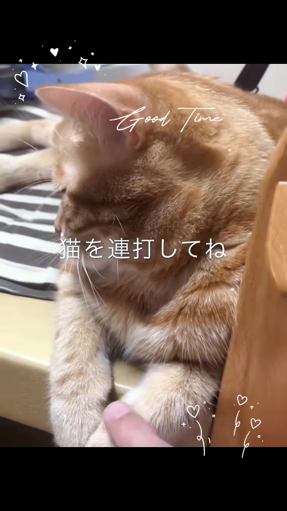 @タッキー