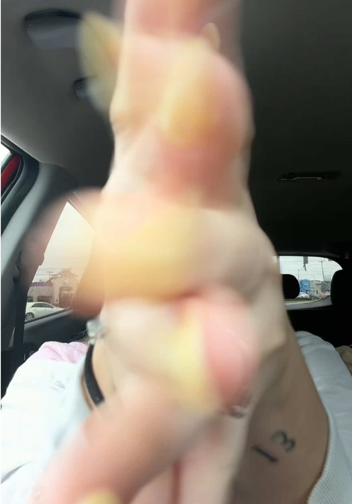 @baileigh 🦔