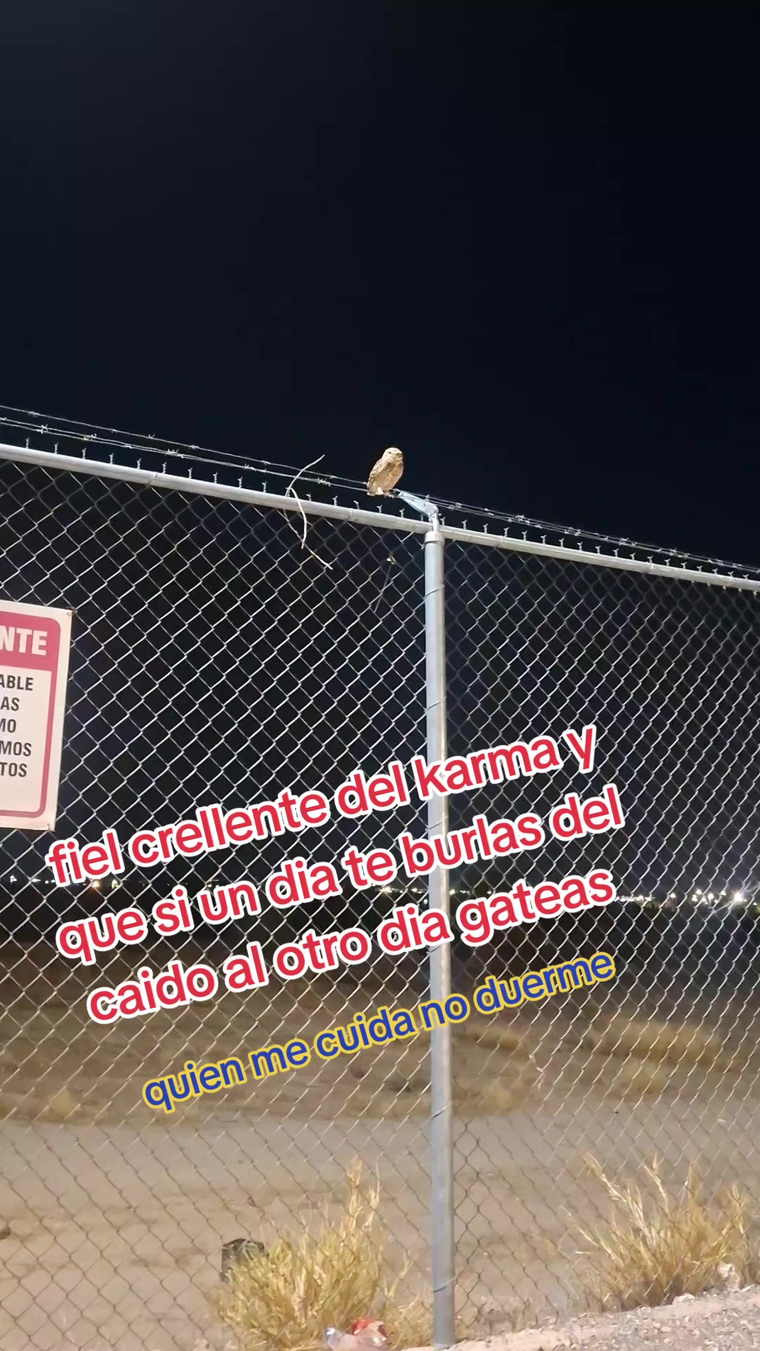 @Medina