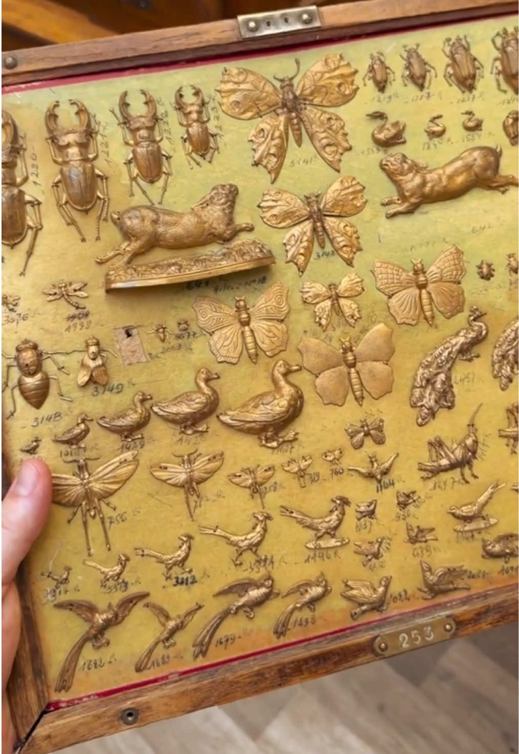 @vintage.chalabi