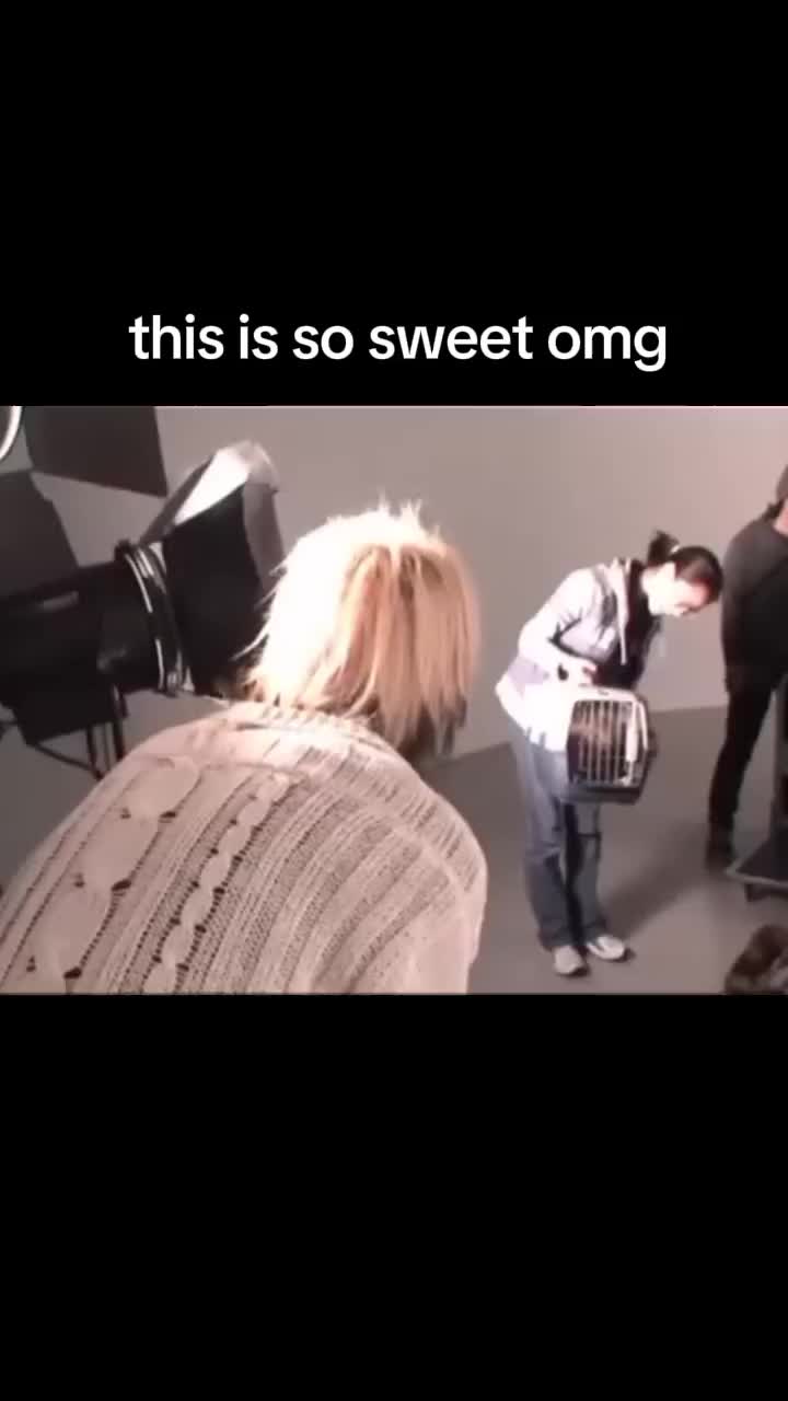 @&real;𝔢𝔢𝔡𝔞𖦹♪