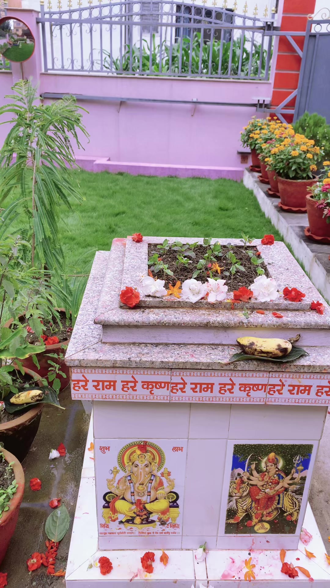 @Qumar Bhujel Chhetri