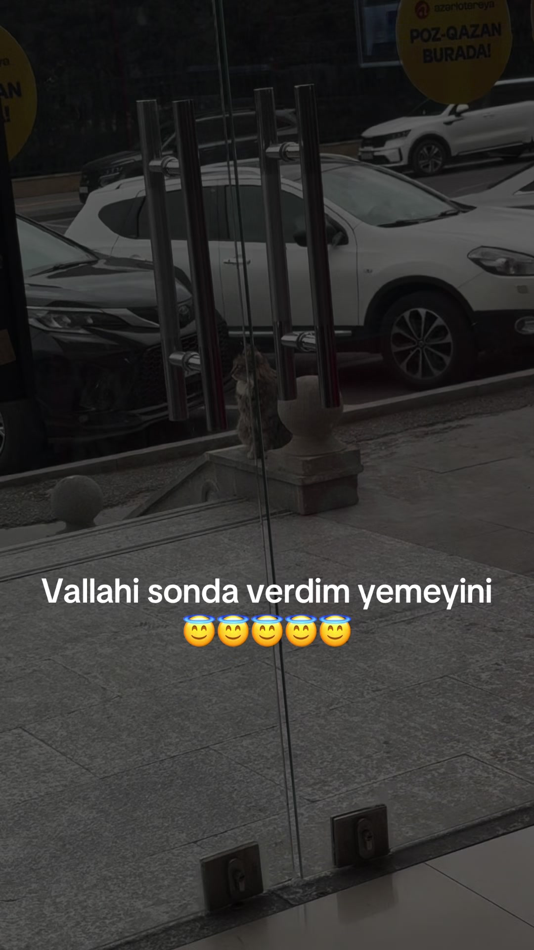 @Çinare Babayeva039