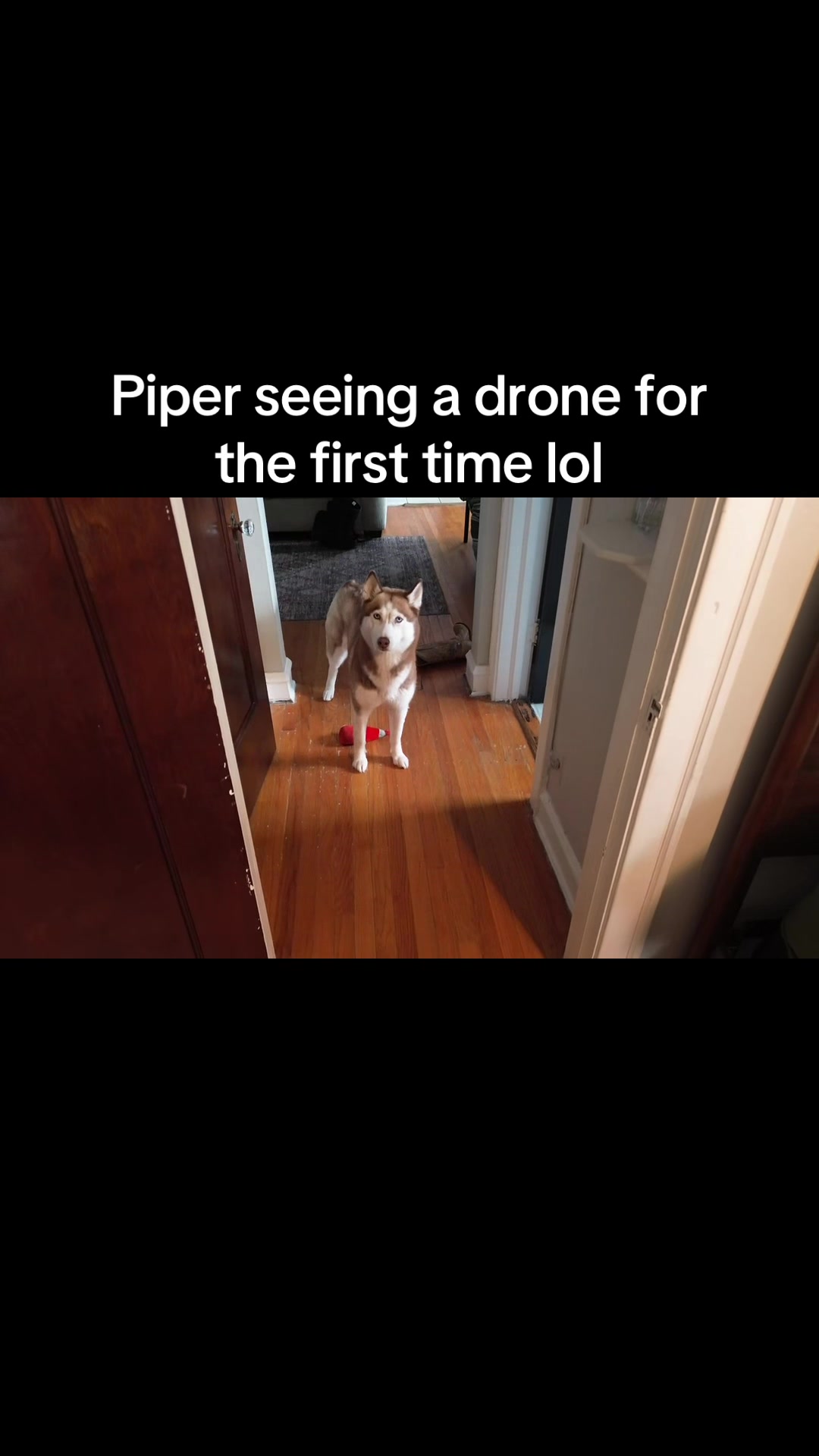 @Sober_Cajun_Jason