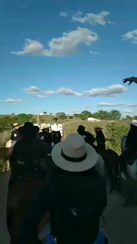 @Graziela Sampaio.