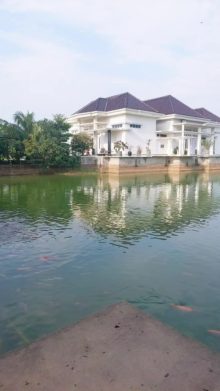 @🌻⚘️DY⚘️🌻