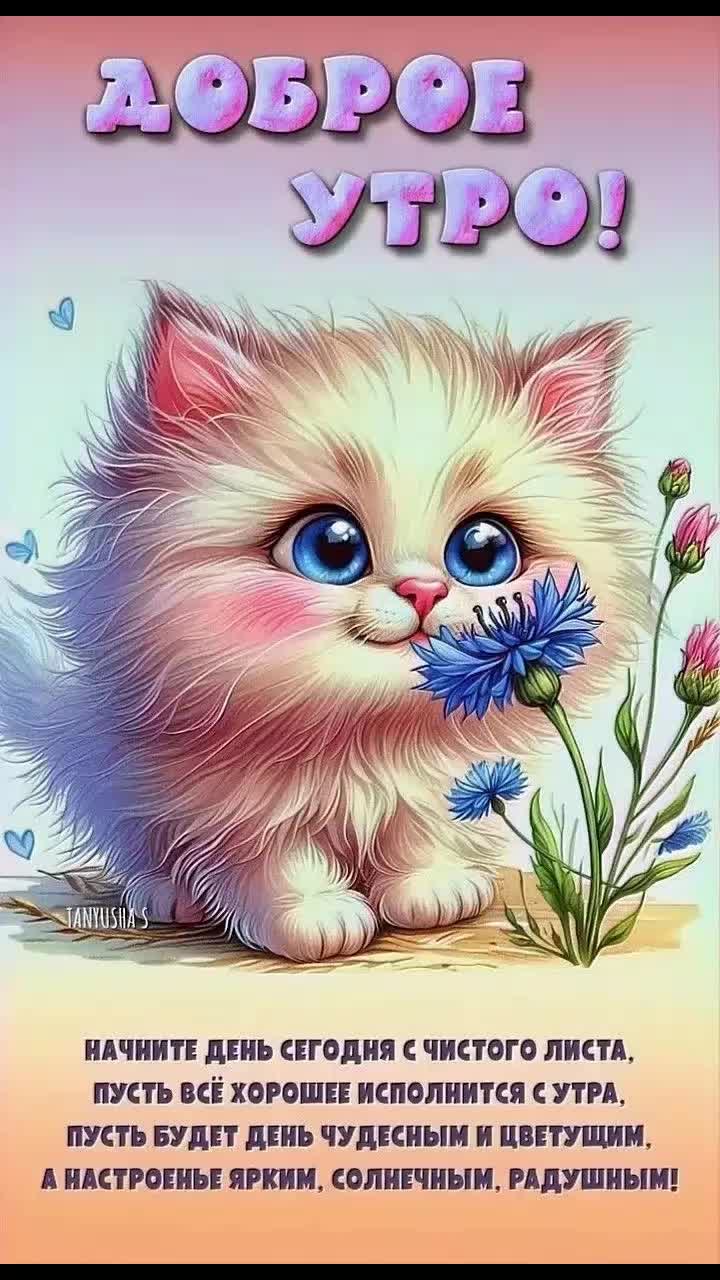 @user868645 Лидия. Срывова.