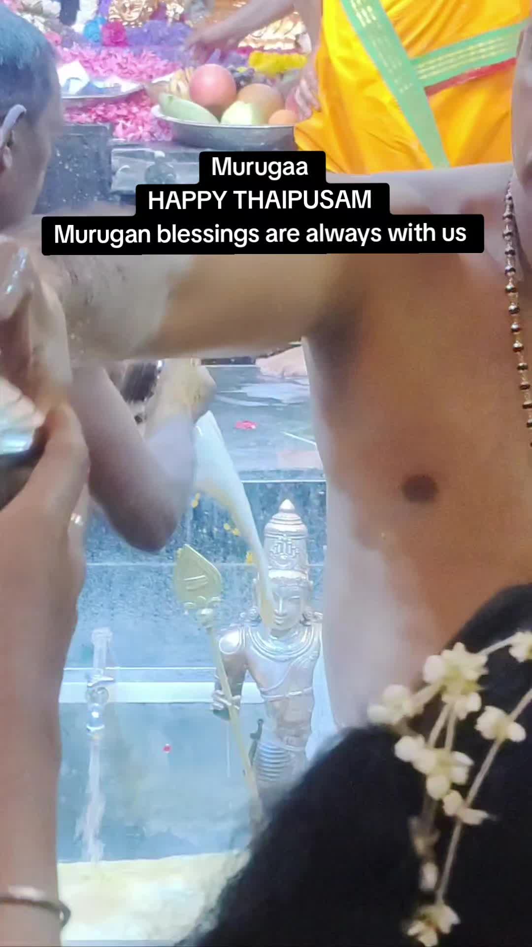 @Mugans World