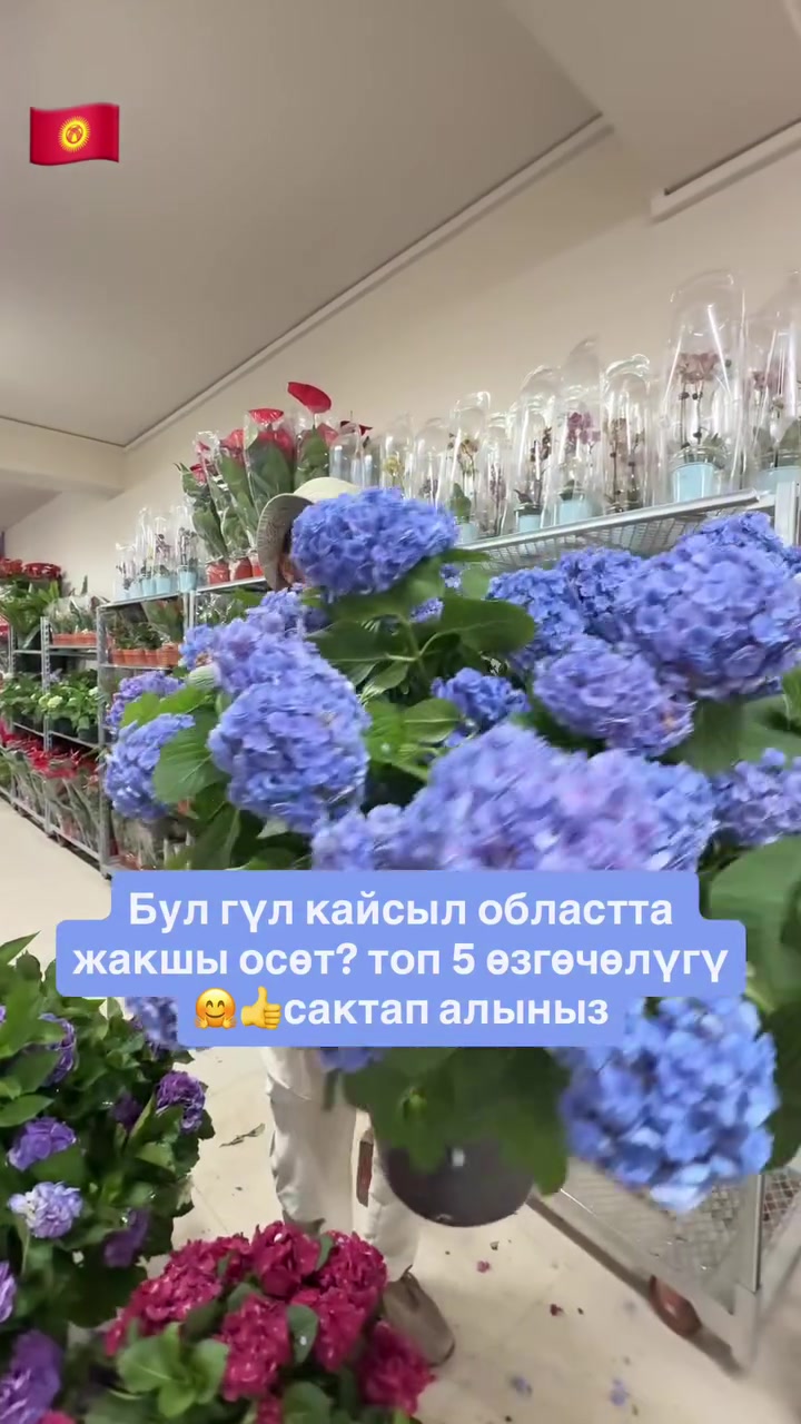 @СУПЕР САДОВНИК ИЗ ЖАЛАЛ-АБАДА