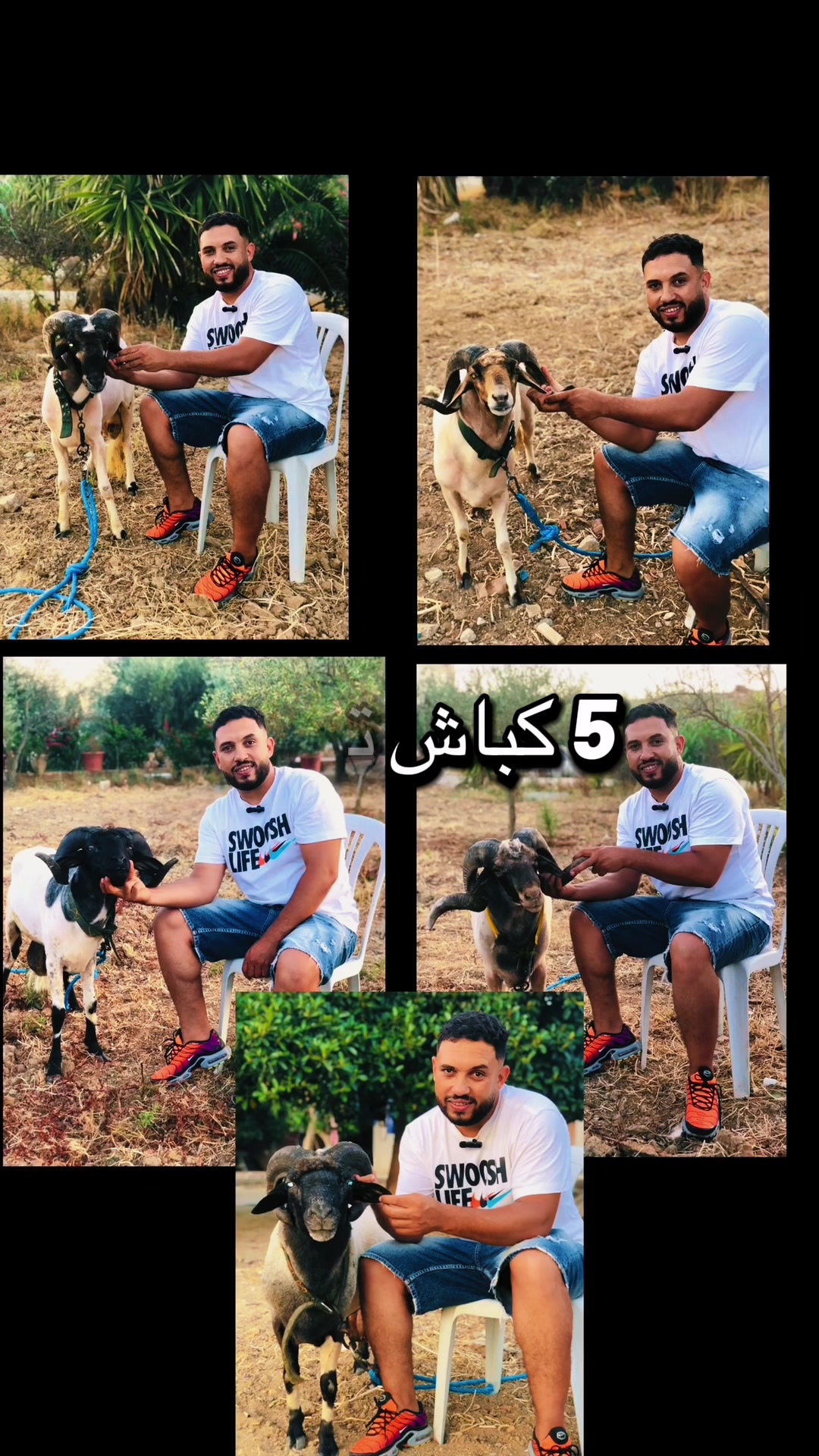@سيف غرام زمان 🇹🇳