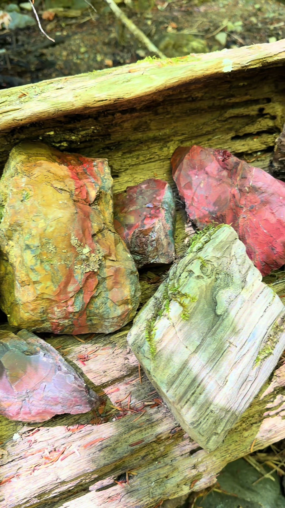 @❌ The Stone Zone ❌