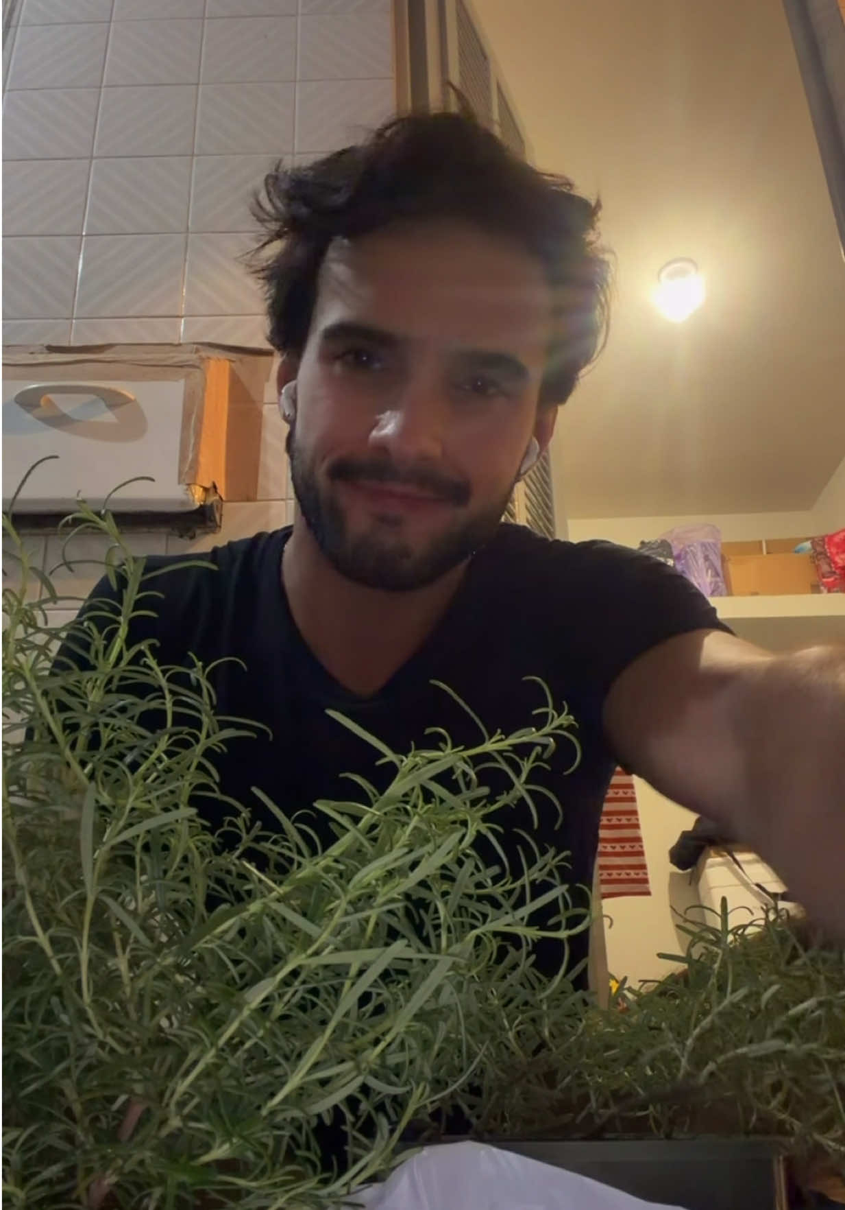 @pedrolutz