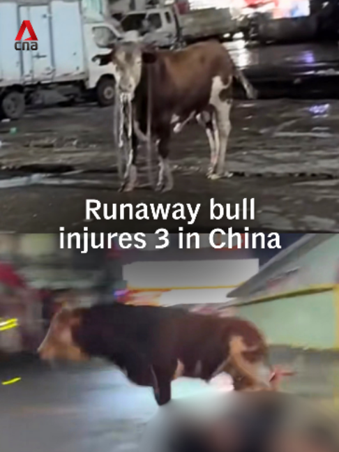 @CNA