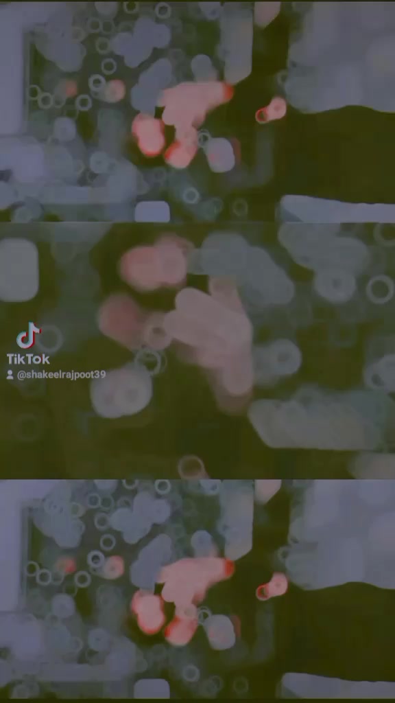 @لاڈلہ 🕷️804