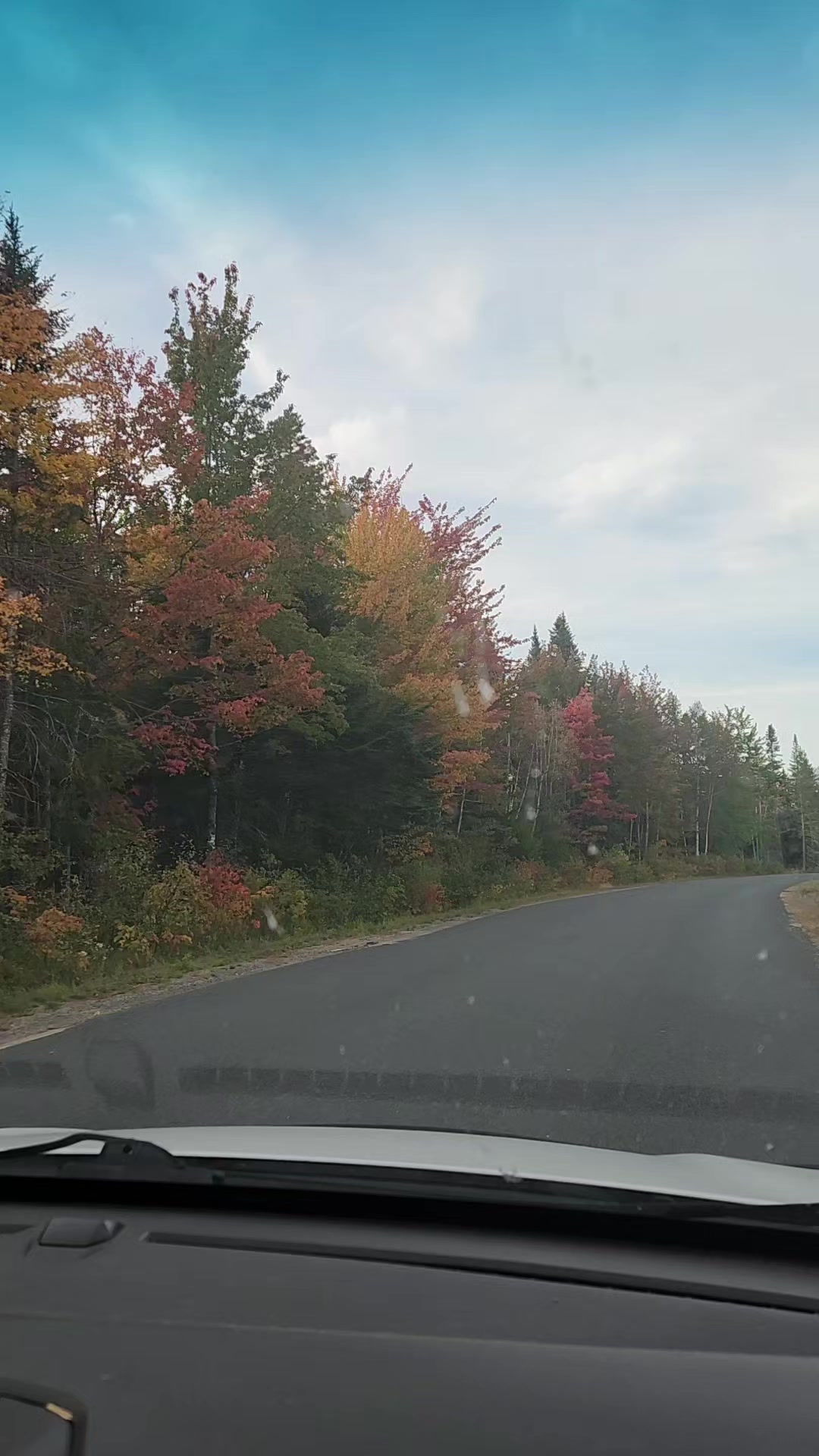 @Jenn L 🇨🇦