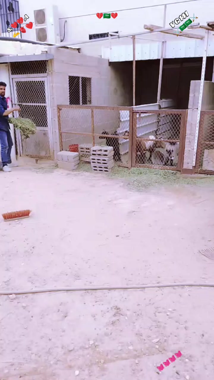 @Shahid Khan