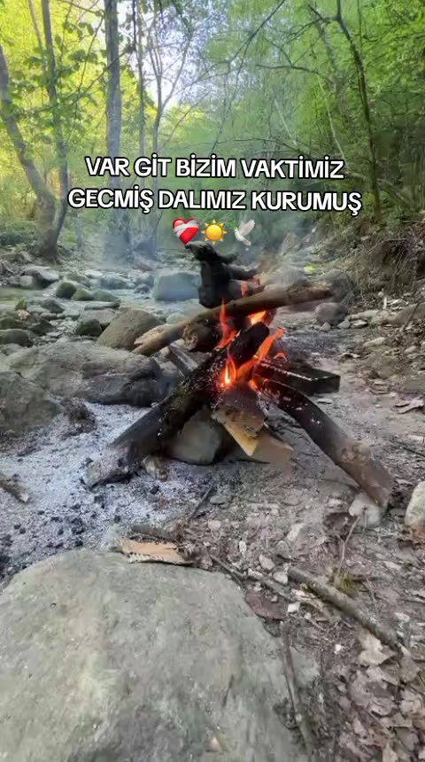@☀️🕊️27.10.25 ☀️🕊️