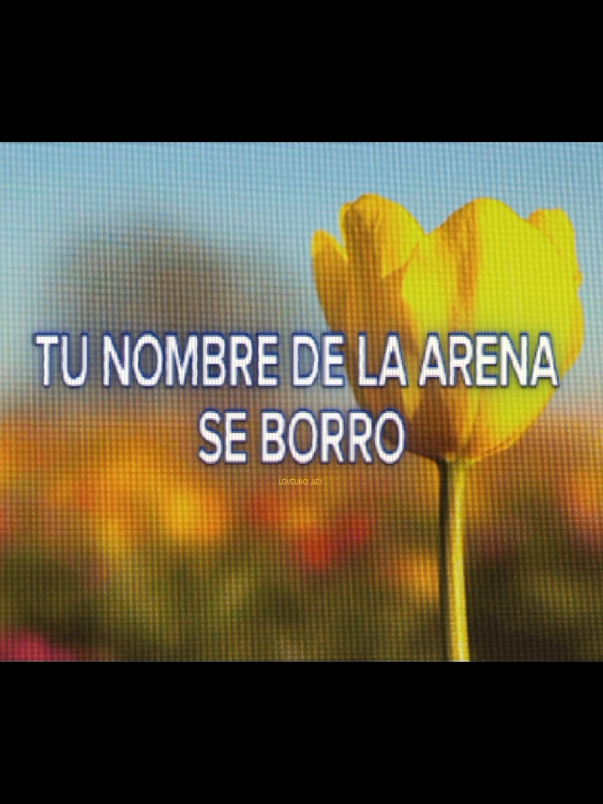@❀  Sa͟ki
