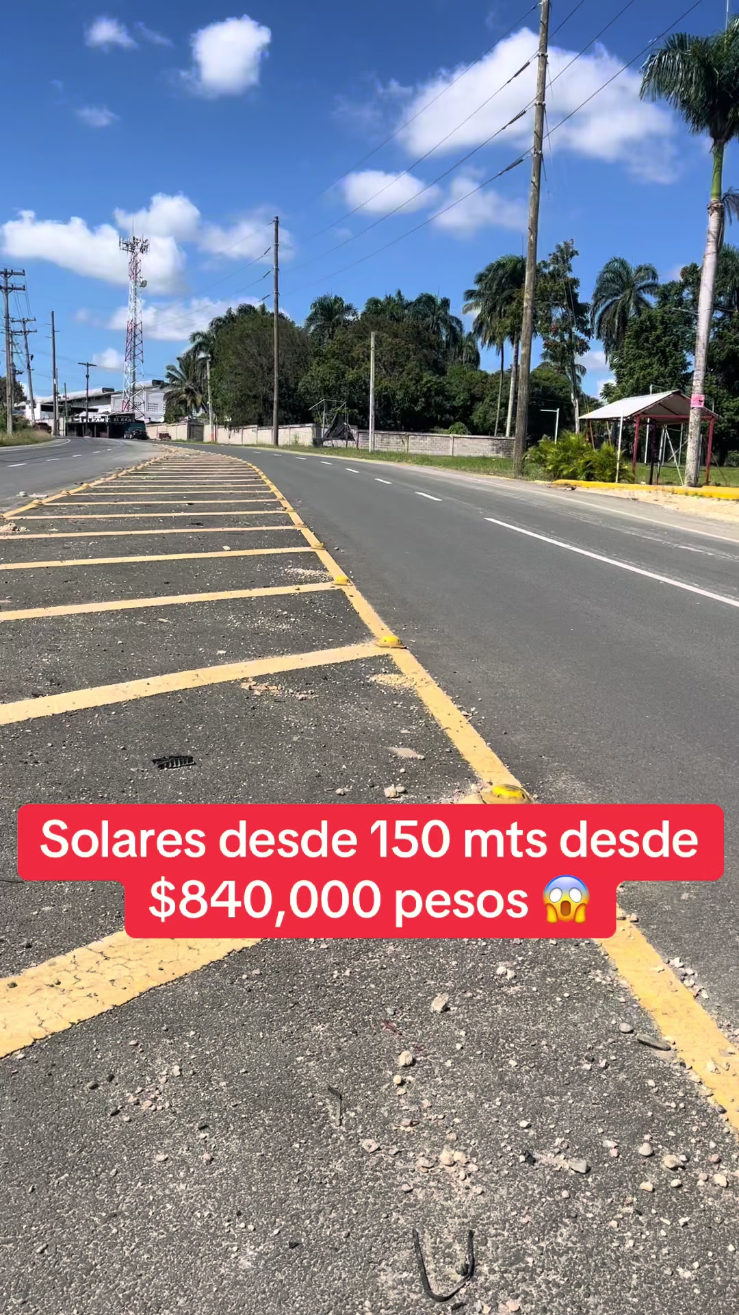@Franchesca De la Cruz