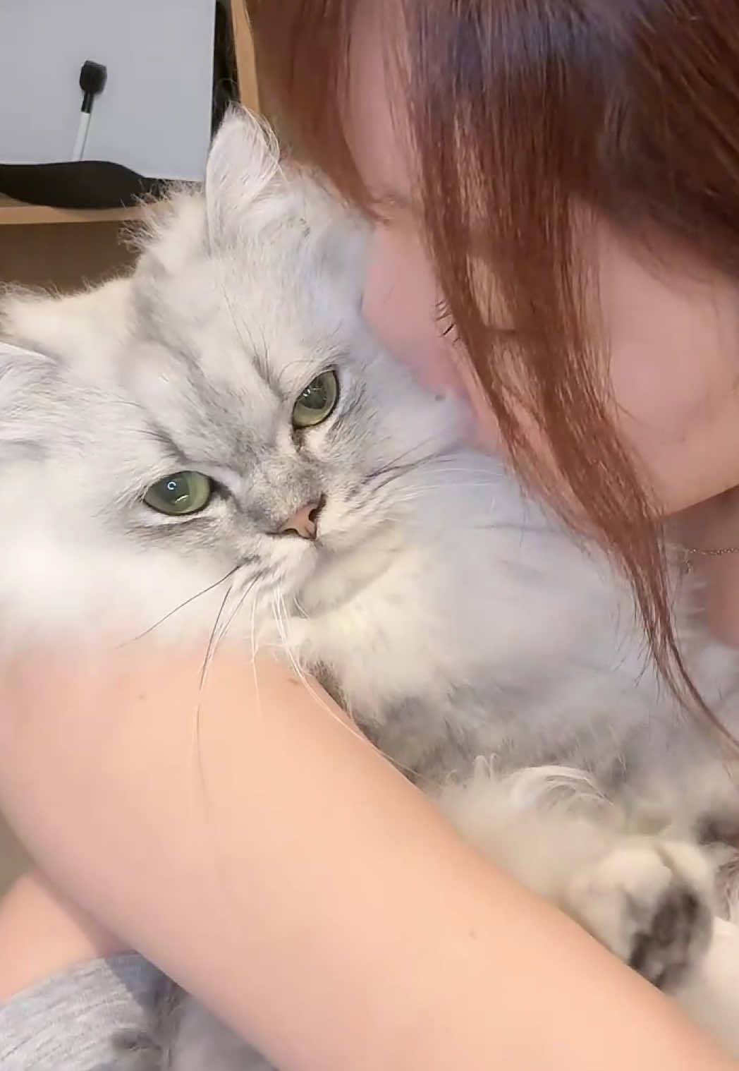 @神楽あや🐱🍺