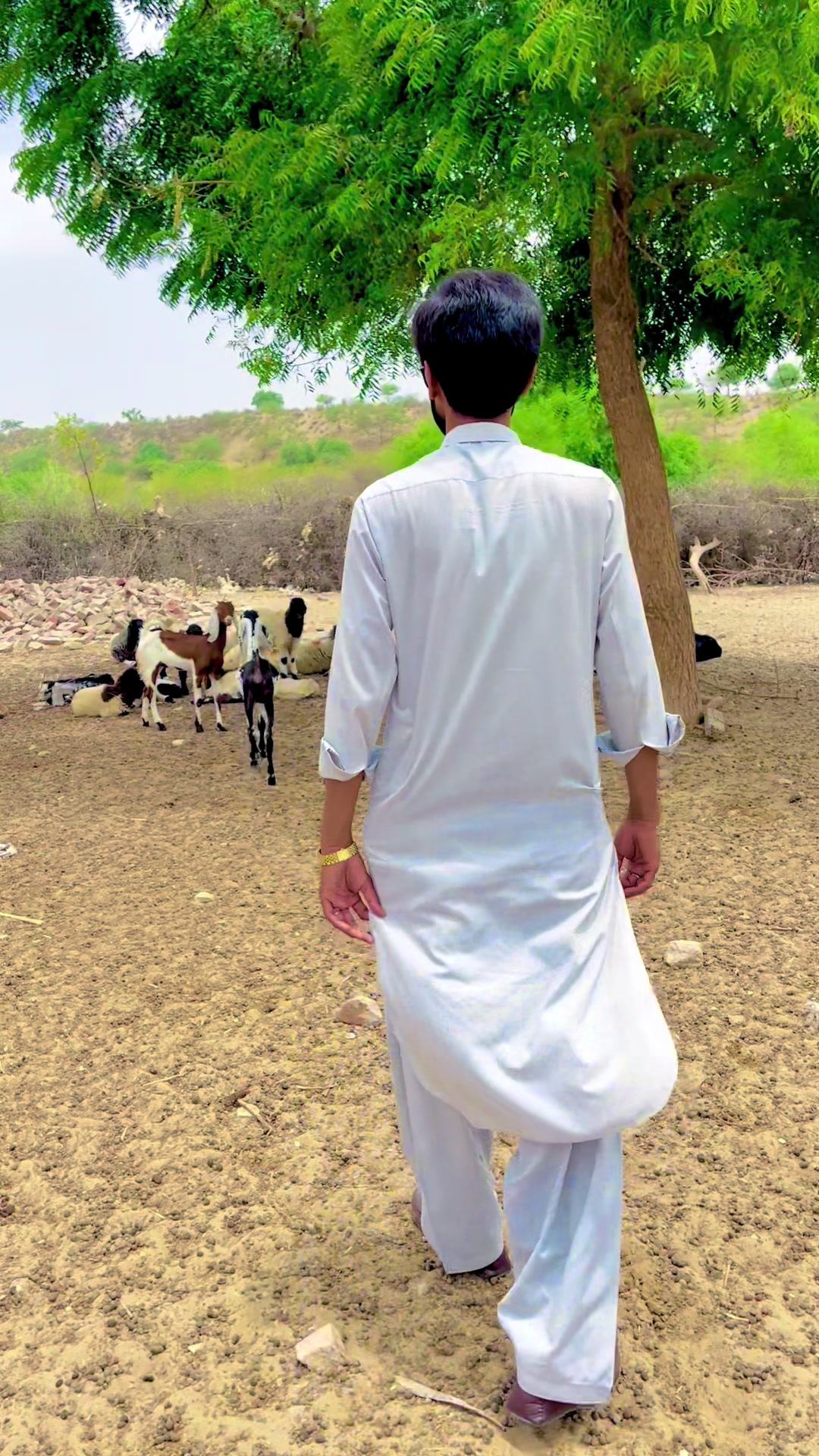 @Aijaz Ali Dars