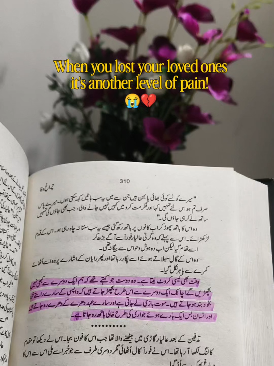 @Laiba Ijaz