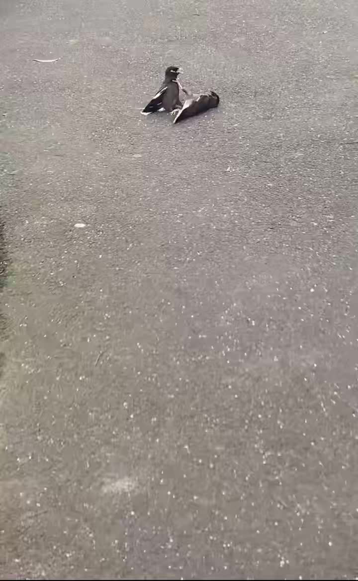 @晃晃悠悠