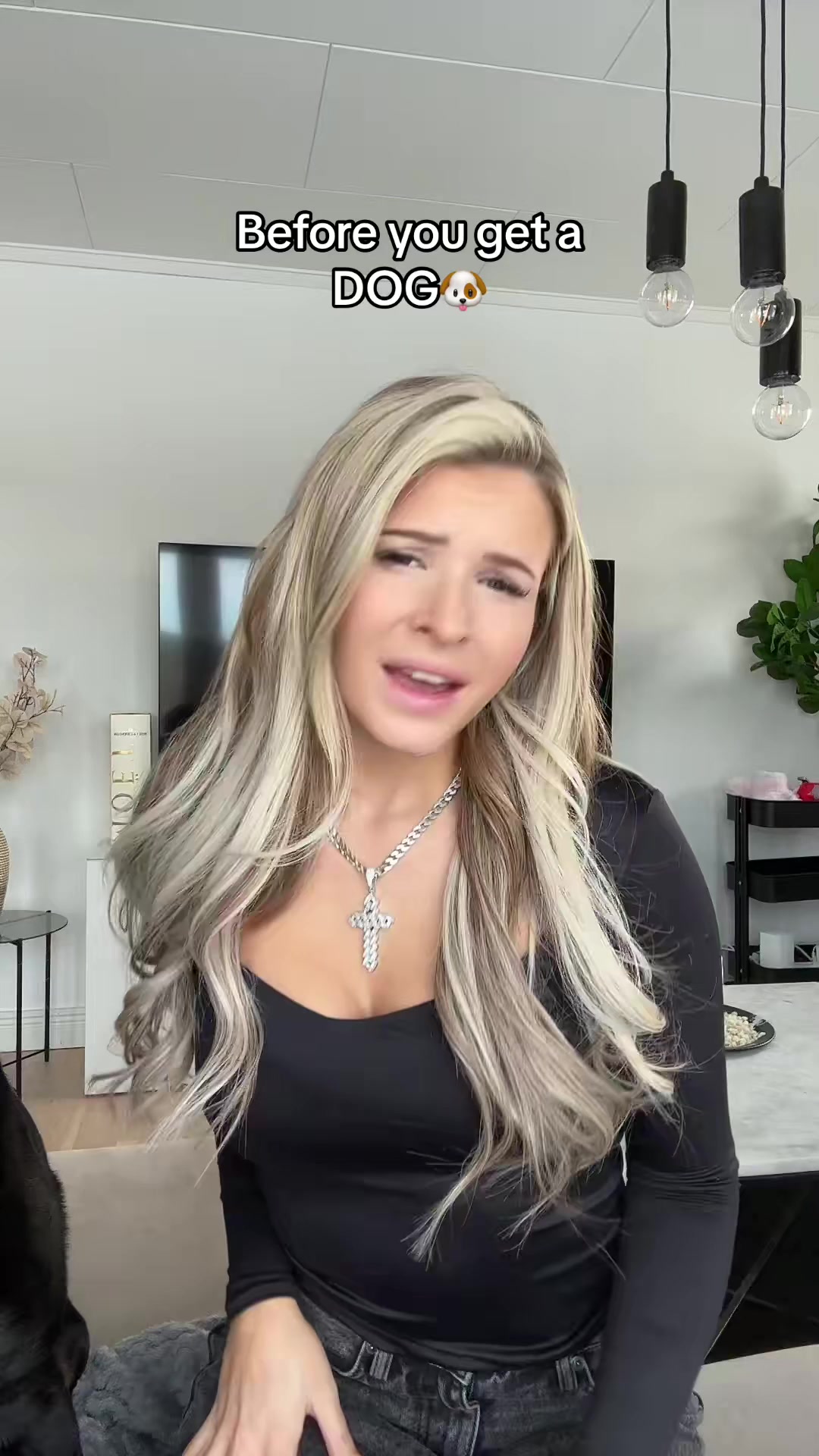 @Sabrina paws