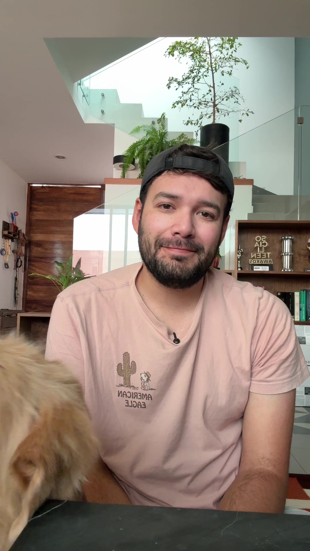 @Felipe y Saúl