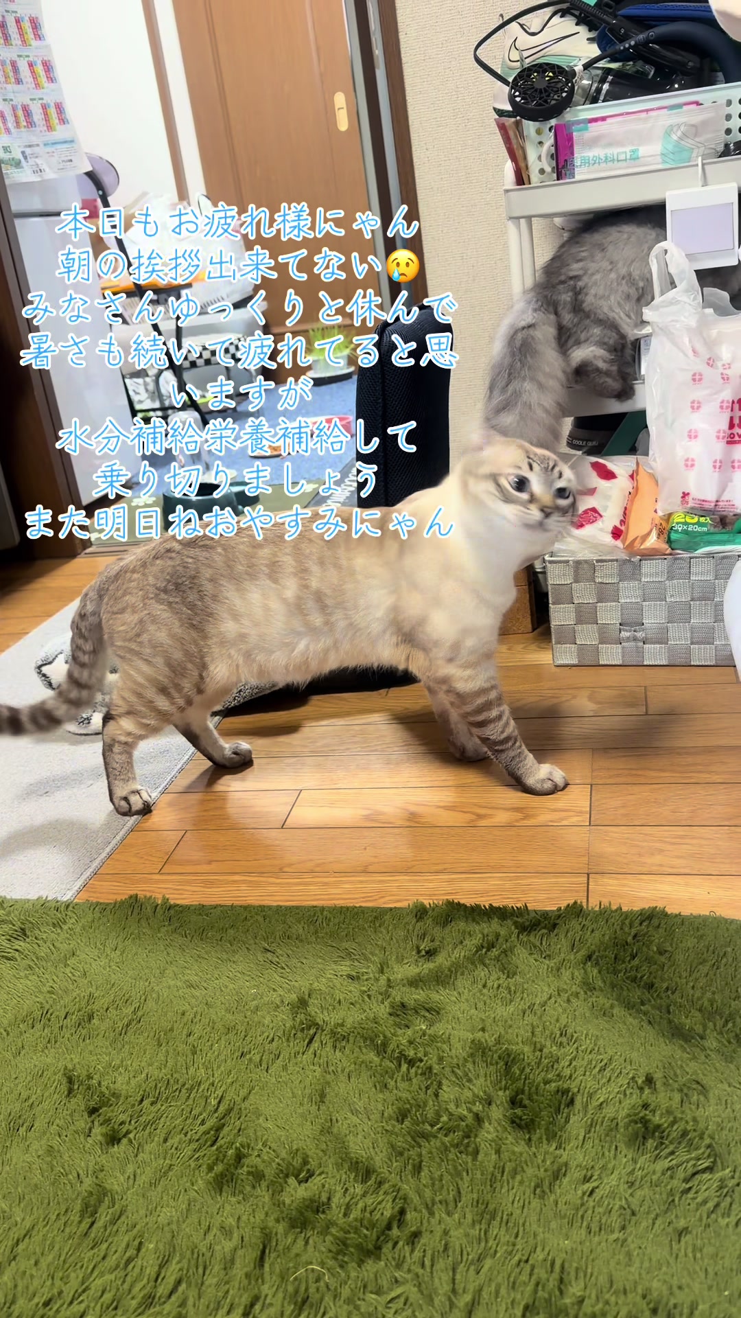 @ð¥é»æŸ€æ£å¿ð¥