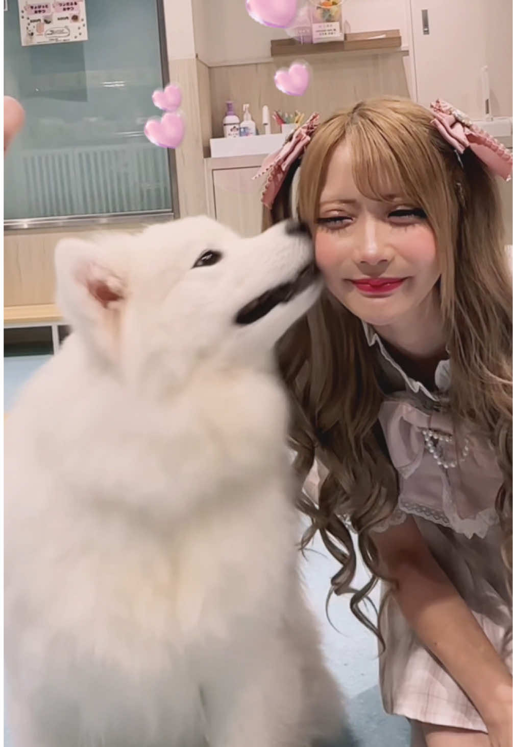 @ちいめろ@YouTuber