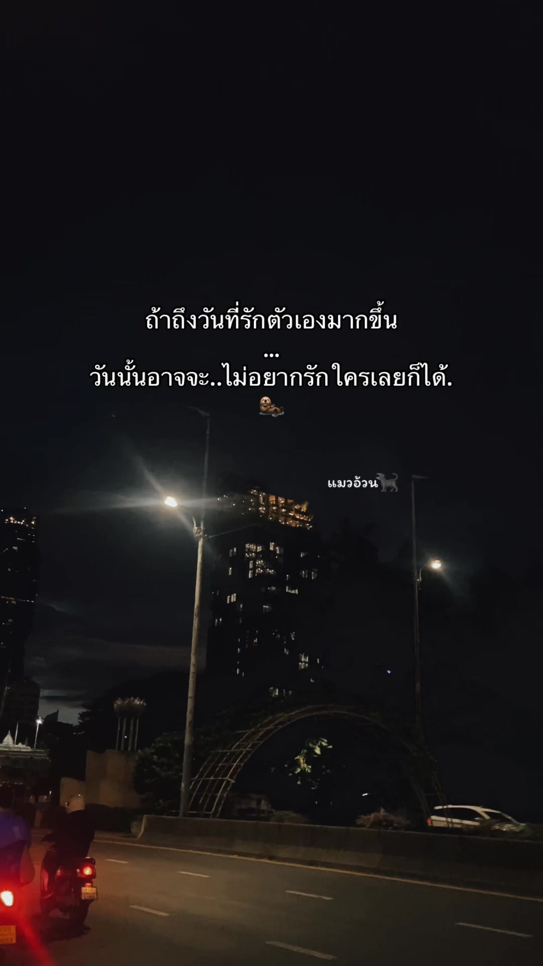 @แมวอ้วน🐈⬛