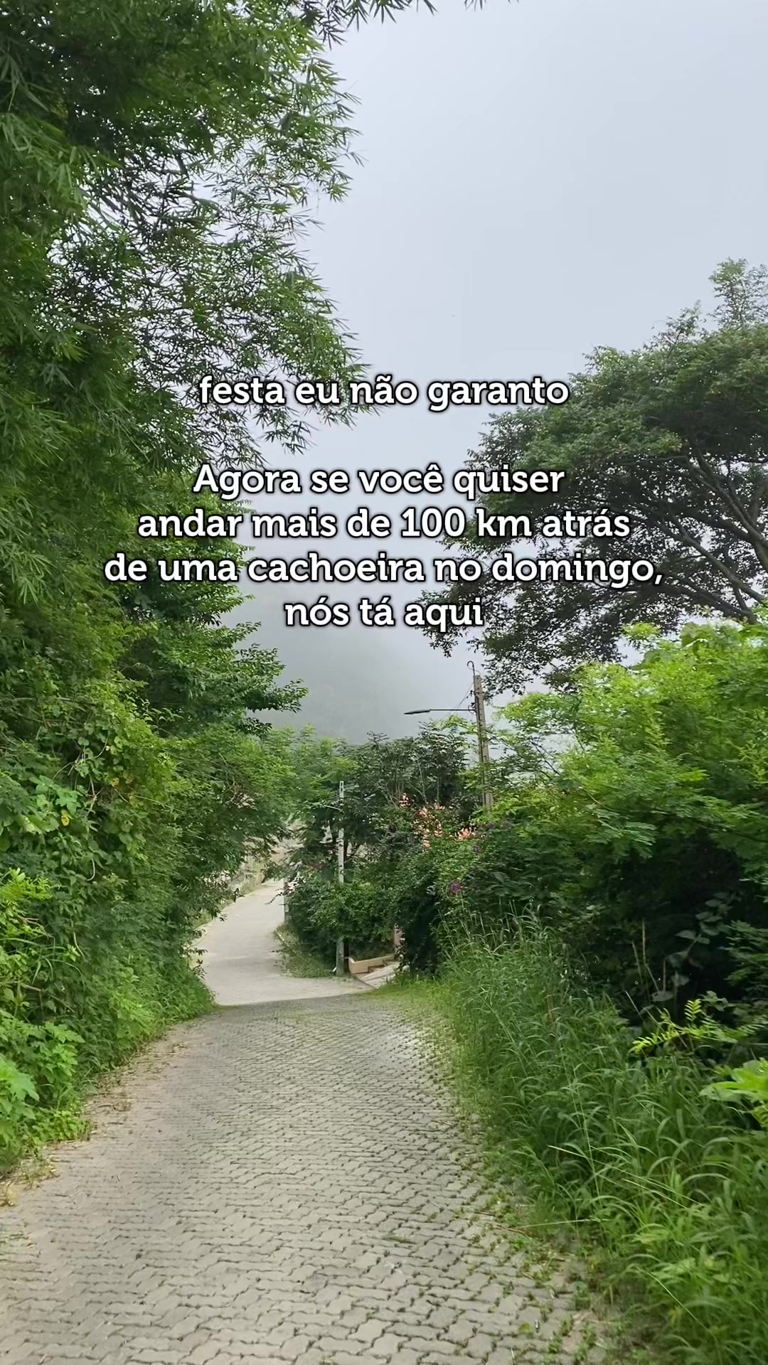 @amandagomez