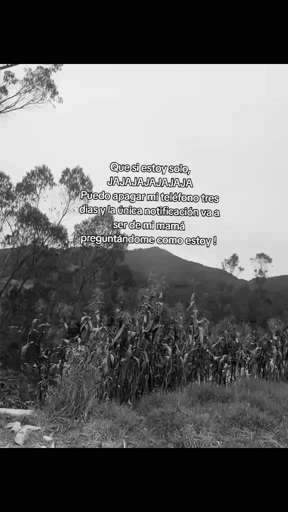 @Kevin 💚