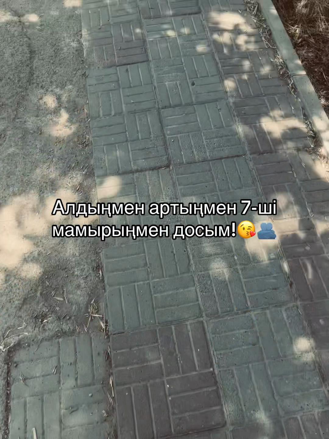 @arslnv.🚶